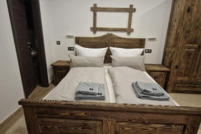 Gemütliches Apartment nähe Salzburg Top 2
